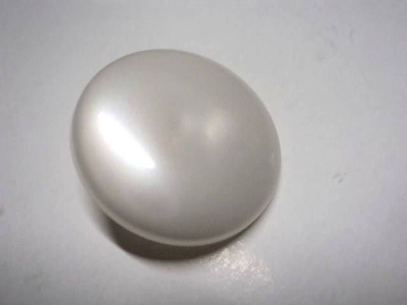 B1pe Pearl Plastic Italian Buttons 10mm